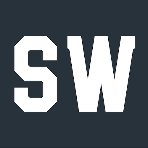 Minifig SW Logo